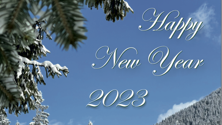HAPPY NEW YEAR 2023 from the TEAM of IP Consulting